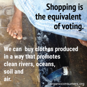Shopping Is The Equivalent Of Voting