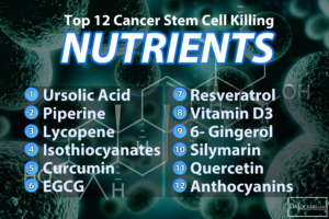 Cancer Stem Cell Nutrients