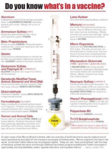 What Is In A Vaccine