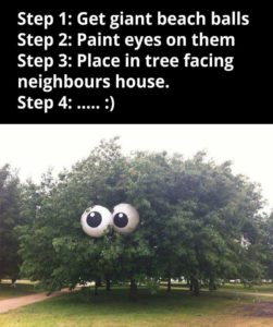 How To Peeve Your Neighbours