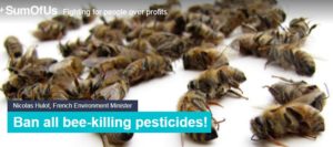 Ban Bee Killers