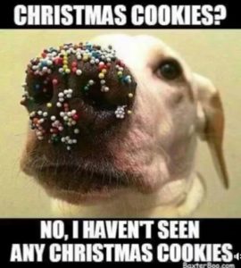 No, I Have Seen No Christmas Cookies