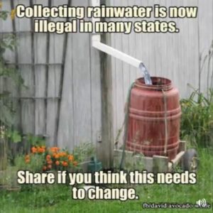 Rainwater Collection Illegal in Some US States
