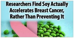 Soy Accelerates Breast Cancer