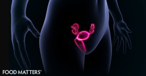 Woman_Reproductive_Organs