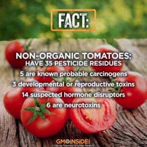 Non-Organic_Tomatoes