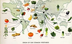 Vegetable_Sources