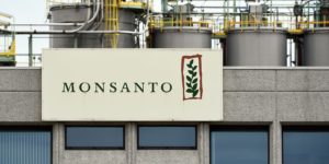 Monsanto_Logo_On_Plant
