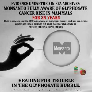 Monsanto Knew Roundup Causes Cancer