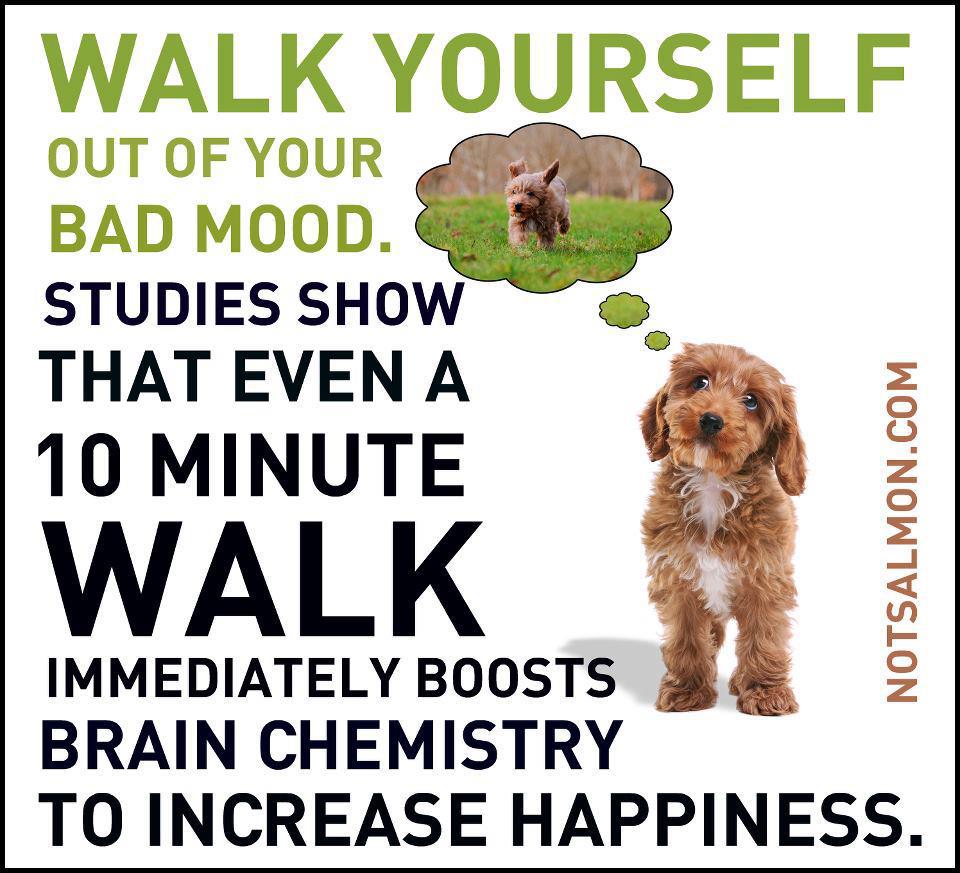 Walk Yourself Happy