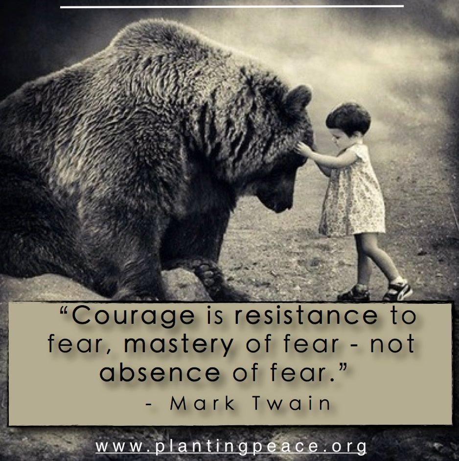 Courage Is Mastery Over Fear