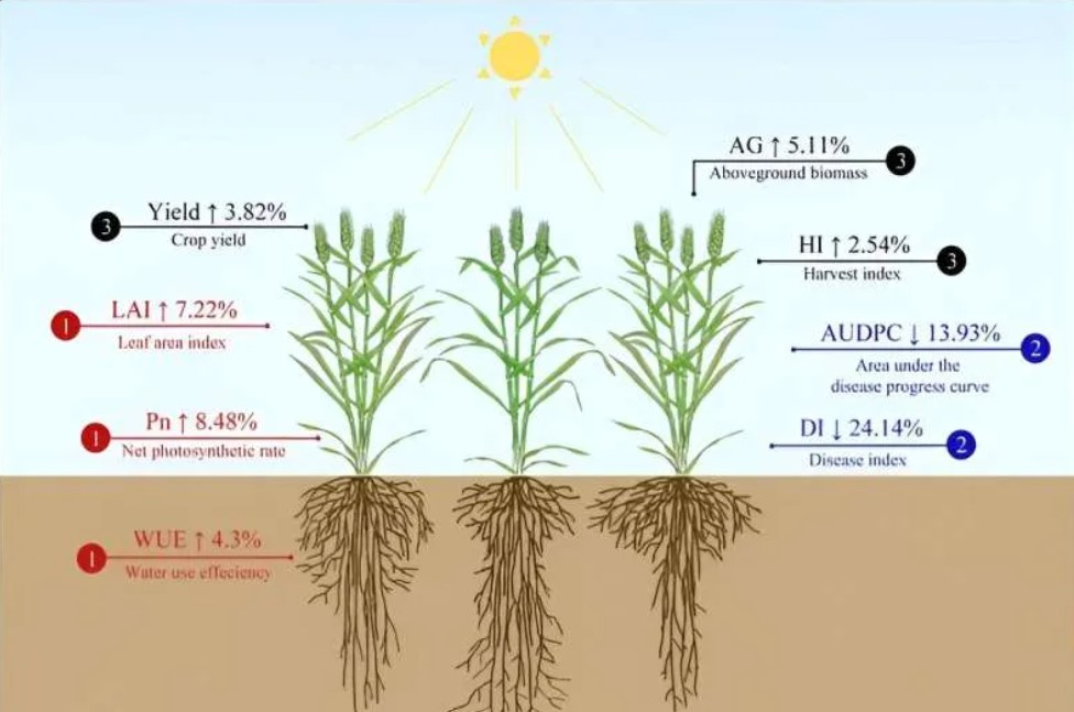 Cultivar Diversity Test Results