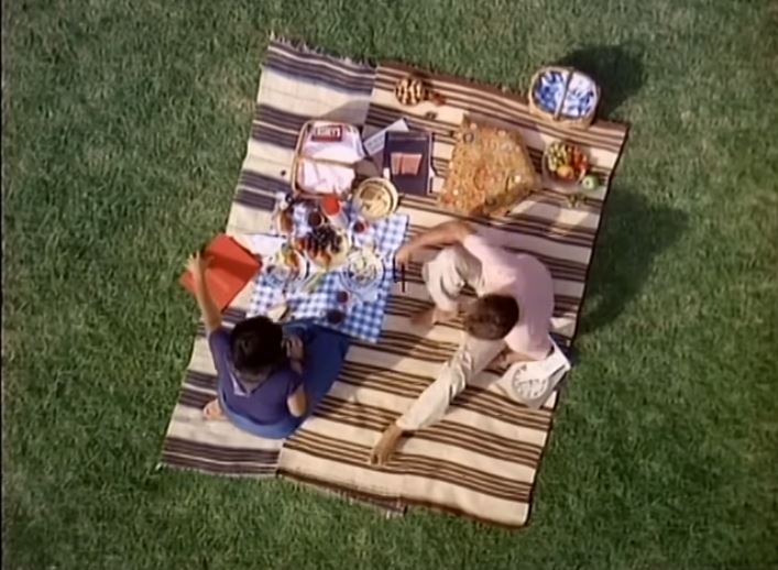 Picnic