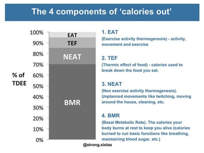 Calorie Expenditure